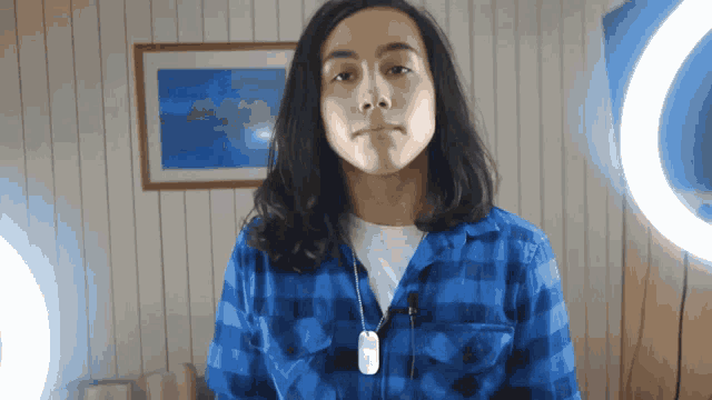 a woman in a blue plaid shirt is standing in front of a picture