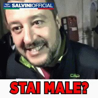 Salvini Official Salvinigif GIF - Salvini Official Salvinigif Salvini GIFs