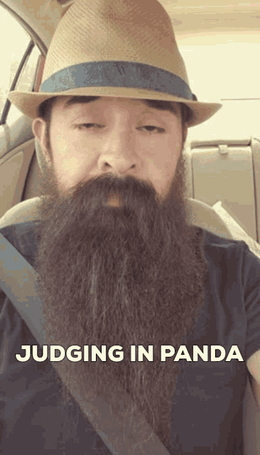 Judge Judging Panda GIF - Judge Judging Panda Beard GIFs