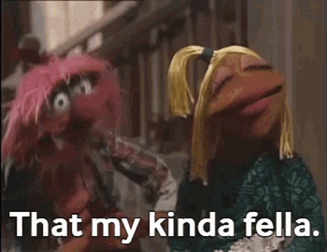 a couple of muppets are standing next to each other and one of them is saying `` that my kinda fella '' .