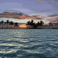 a sunset over the ocean with palm trees in the distance