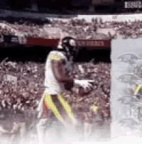 a football player is running with a ball in front of a crowd of people .