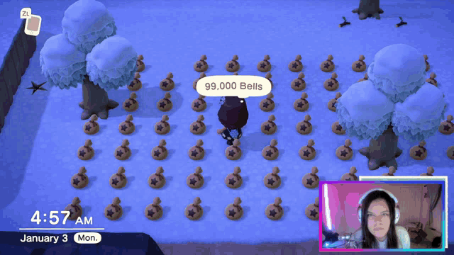 a screenshot of animal crossing new horizons shows a lot of bells
