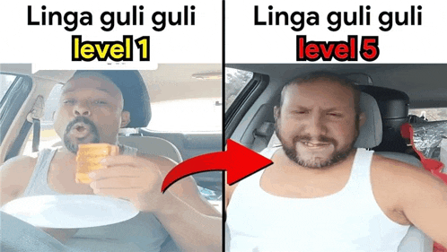 Lingoplingo Meme