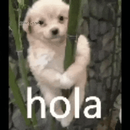 a puppy is standing on its hind legs next to a tree trunk .