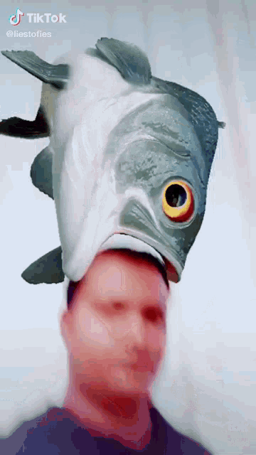 a man is wearing a fish mask on his head with a tik tok watermark