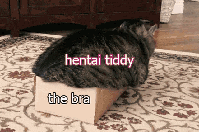a cat is laying in a cardboard box that says hentai tiddy