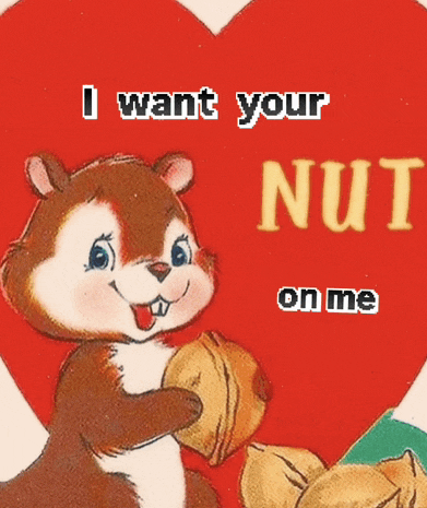 a picture of a squirrel holding a nut with the words " i want your nut on me "