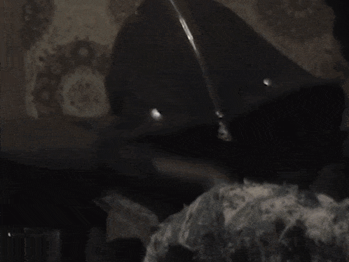 a screenshot of a video with the time 00 00 00