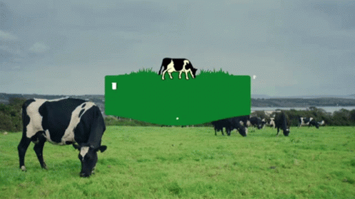 Kerrygold Irish GIF - Kerrygold Irish Cows GIFs