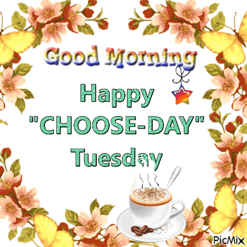 Choose Day Tuesday GIF - Choose Day Tuesday Good Morning Tuesday GIFs