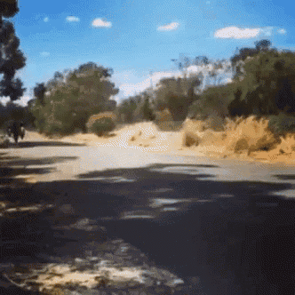 a blurry picture of a road with trees on the side of it