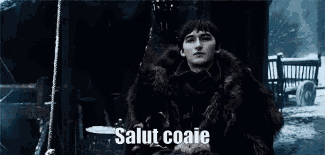 bran stark from game of thrones is wearing a fur coat and a fur collar .