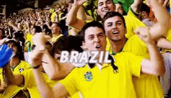 a crowd of people cheering in a stadium with the word brazil in white letters