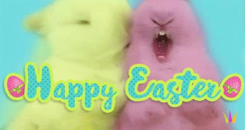 Rabbit Easter Bunny GIF - Rabbit Easter Bunny Happy Easter GIFs