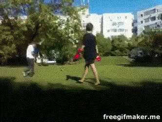 Friends Boxing GIF - Friends Boxing Fighting GIFs