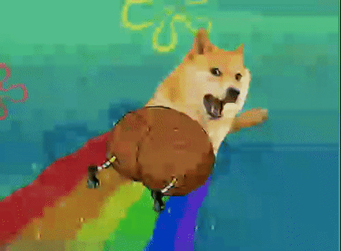 Raindoge The Doge Nft GIF - Raindoge The Doge Nft Dogebob Rainbow Pants GIFs