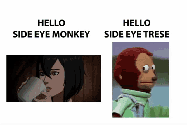 a picture of a woman drinking from a cup next to a picture of a monkey saying hello side eye monkey