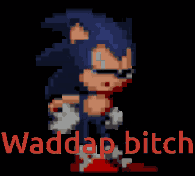 a pixel art of a sonic the hedgehog with the words waddap bitch behind him