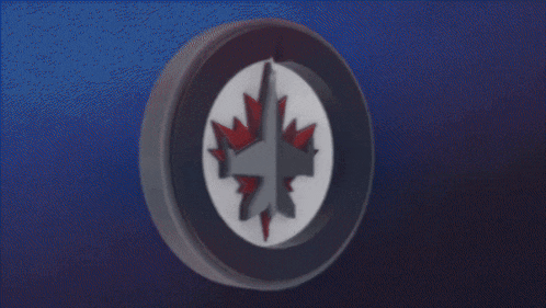 the word goal is displayed on a hockey puck