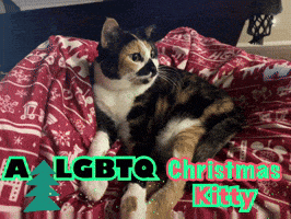 a calico cat laying on a christmas blanket