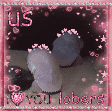 a picture of a person with the words us i love you lobers
