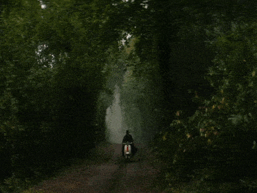 a man is riding a scooter down a dirt road in the woods .