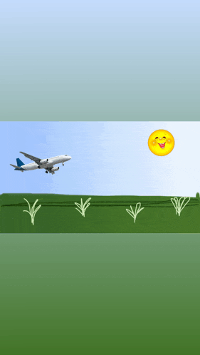 a drawing of a plane flying over a field with a smiley face in the sky