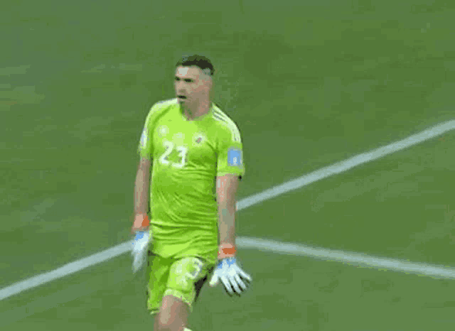 a soccer player wearing a green jersey and gloves is standing on a field .