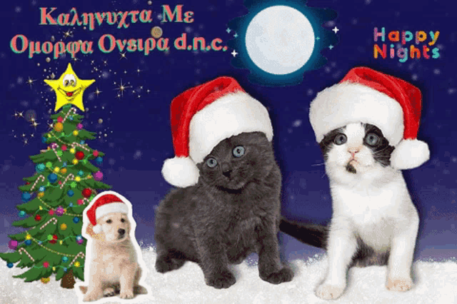 two kittens wearing santa hats next to a christmas tree and a puppy