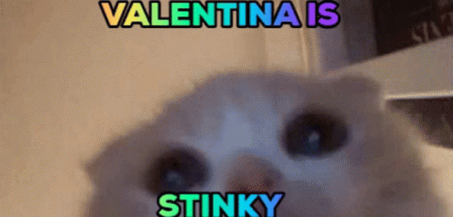 Valentina Stinky GIF - Valentina Stinky GIFs