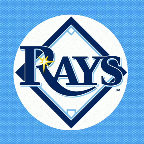 Lets Go Rays I Voted Early GIF - Lets Go Rays I Voted Early I Voted GIFs