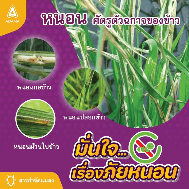 a poster in a foreign language with a picture of a caterpillar on a plant