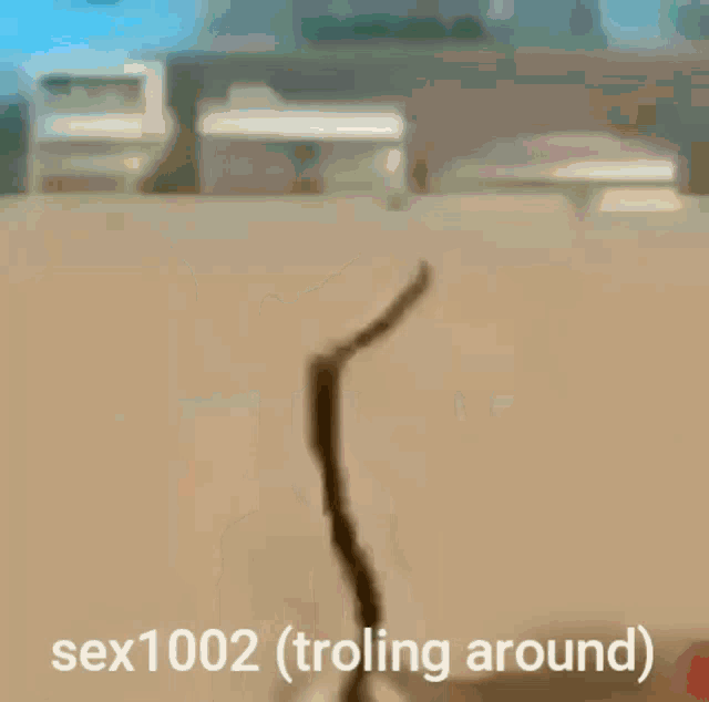 a blurry picture of a person with the words sex1002 ( trolling around ) written on it