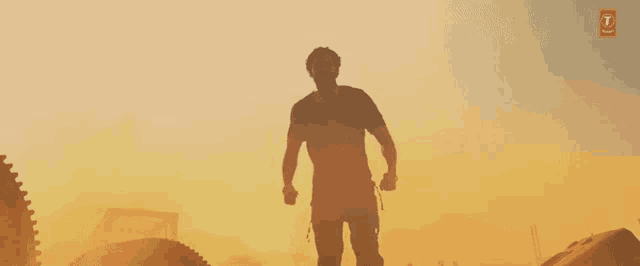 a silhouette of a man standing in front of a sunset with a t on the bottom right