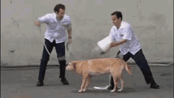 two men are kneeling down washing a dog with a hose