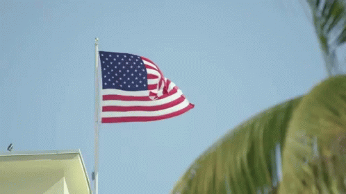 Ultra Miami Flag GIF - Ultra Miami Flag America GIFs