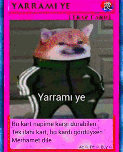 a picture of a dog in a black jacket with the words yarrami ye on it