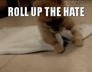 Roll Up The Hate GIF - Haters Roll Dog GIFs