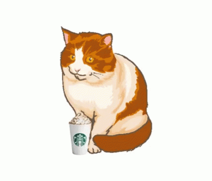 Cats Psl GIF - Cats Psl Pumpkin Spice Latte GIFs