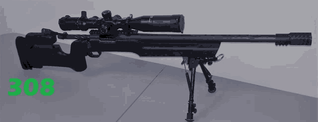 a sniper rifle with the number 308 written on the bottom