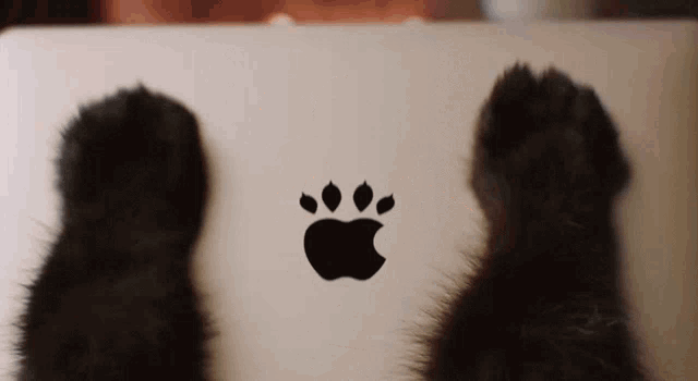 a cat 's paws rest on a laptop with an apple logo