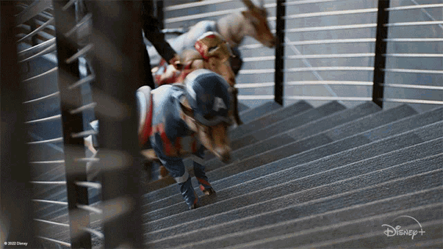 Ascending The Stairs Goats GIF - Ascending The Stairs Goats Going Up GIFs
