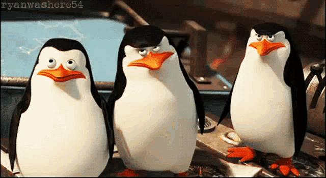 three penguins standing next to each other with ryanwashere54 written on the bottom right