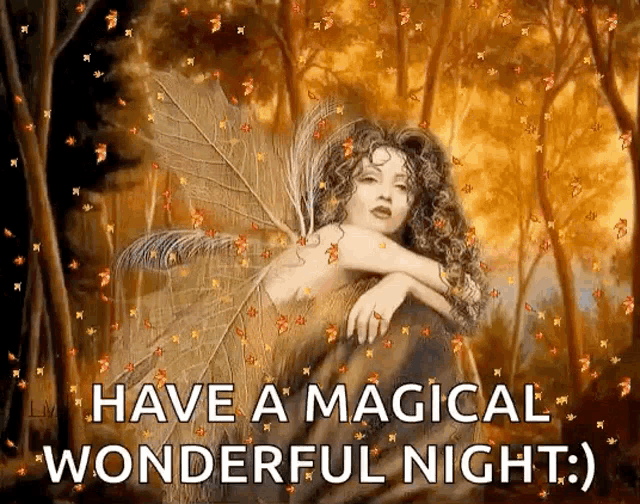 a painting of a fairy in the woods with the words have a magical wonderful night