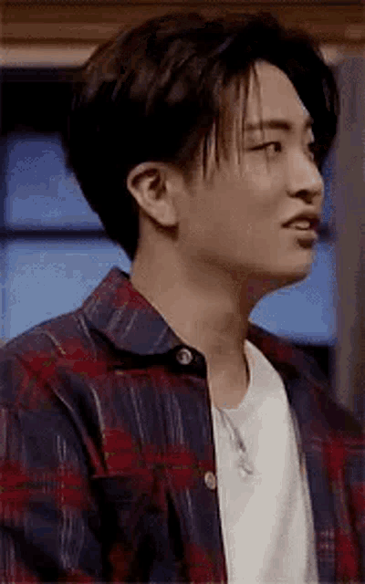 a close up of a man wearing a plaid shirt and a white shirt .