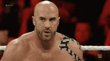 a bald wrestler with a beard is standing in a wrestling ring .