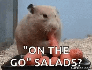 On The Salads Eating GIF - On The Salads Eating Starving GIFs
