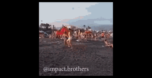 a group of people are dancing on a beach with umbrellas .
