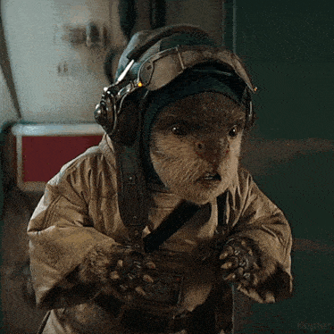 a picture of an otter wearing a helmet and goggles with the name kepler written below it